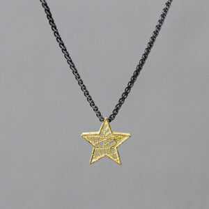 20411-zilveren-collier-met-gouden-ster